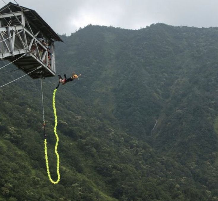 d66feeb1-daa0-490e-b543-7d514510efb2